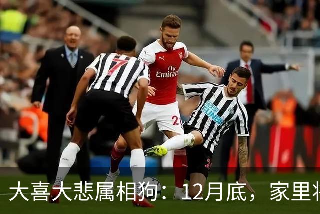 大喜大悲属相狗:12月底,家里将发生5件大事,提前准备